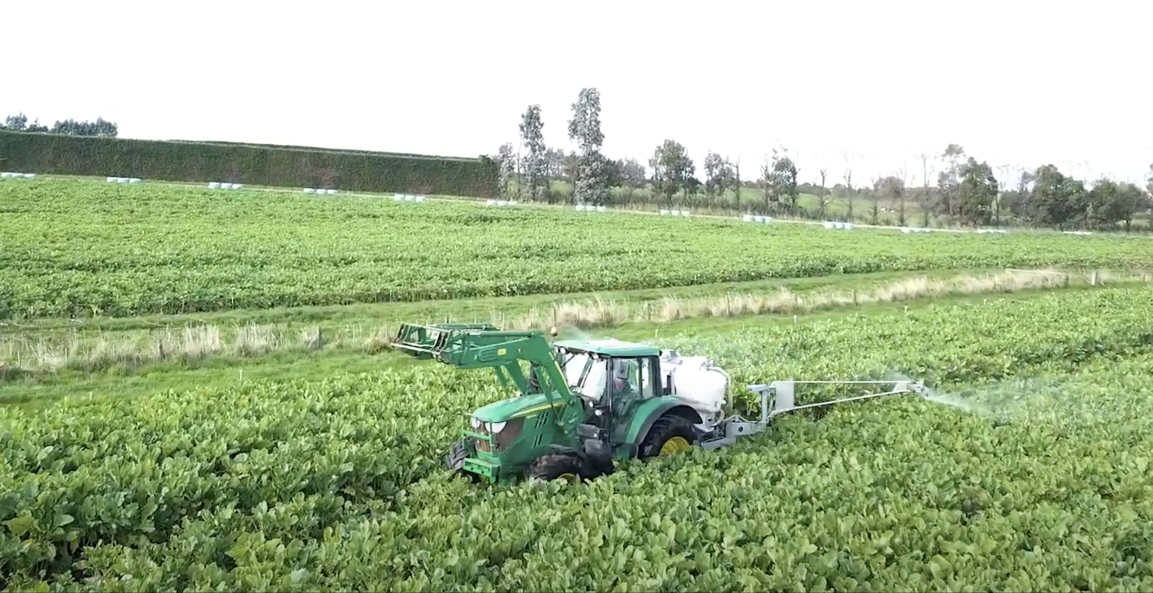 Marshalls reduce nitrogen inputs by 70% with Fish It